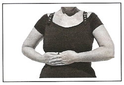 Glândula Pâncreas - Exercício 1 Glândula Pâncreas - Exercício 1