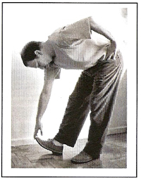 Glândula Pâncreas - Exercício 3 Glândula Pâncreas - Exercício 3