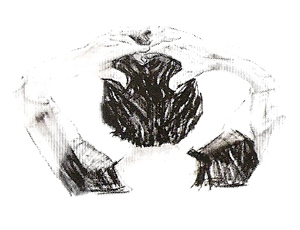 Glândula Pineal ou Epífise- Exercício 2 Glândula Pineal ou Epífise- Exercício 2